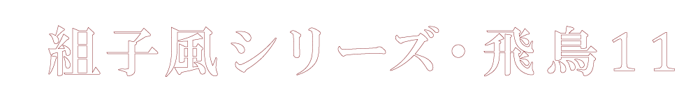 飛鳥11