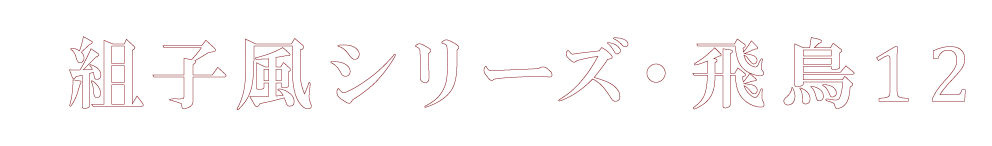 飛鳥12