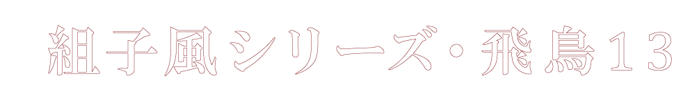 飛鳥13