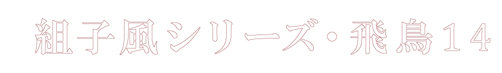 飛鳥14