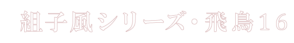 飛鳥16