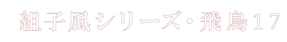 飛鳥17